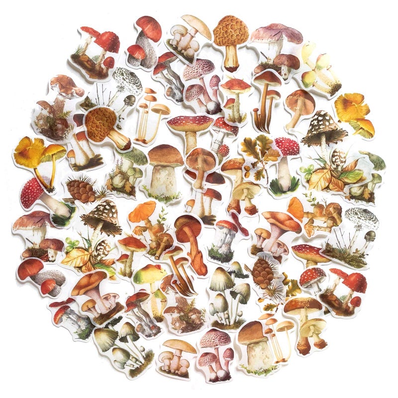 Doraking 60PCS Mushroom Laptop Stickers Decals, Doraking DIY Mushroom Plants Decoration Stickers Decals for Windows, Refrigerator, Decoration (Mushroom Collection, 60PCS/Pack) - Image 1